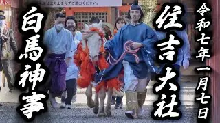 大阪 住吉大社 【白馬神事】神馬が境内を駆ける 2025.1.07