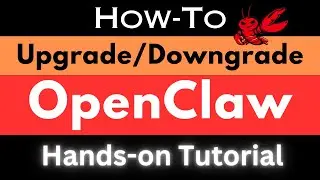 Как обновить OpenClaw &mdash; полное руководство по обновлению/понижению версии для Windows, Linux, Mac