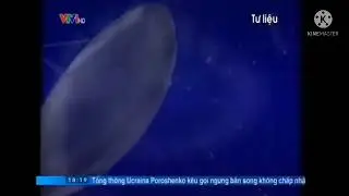 Thời Sự Intro 1997 (29.7.2016)