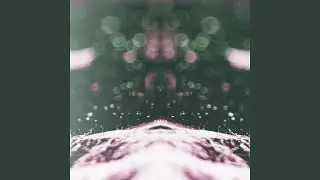 Echo I (SVLBRD Remix)