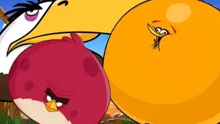 WHO IS THE BIGGEST BIRD‼️REALLY WHO⁉️| Meme