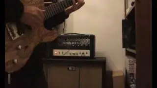 AFJ Guitars & Mojave Coyote #1