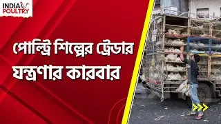 পোল্ট্রি শিল্পের ট্রেডার - যন্ত্রণার কারবার | India Poultry News | Poultry Traders Difficulties