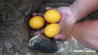 Primitive life - Find Fish Meet Fish Protect Eggs - Catch Fish For Eggs