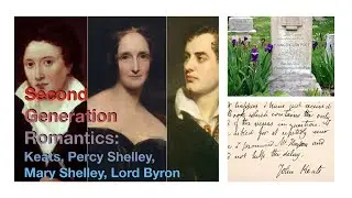 Analysis of Shelley's 