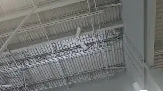 Canarm CP56 Industrial Ceiling Fans & Big Ass Essence HVLS Fans
