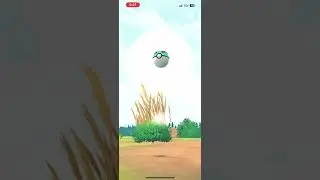 Raid after Comm Day Shiny