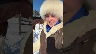 И снега будет ещё больше! #itsamandalee #horse #cowgirl #horsemusic #clydesdale
