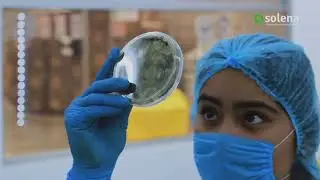 SOLENA RESULTADOS INADEM 2.1