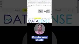 Move between the excel sheets using shortcut
