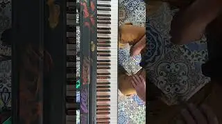 Piano players achieve incredible right hand technique black key etude Chopin