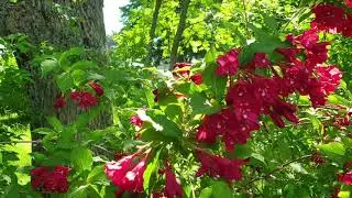 Novascotia, Halifax ,Breath-taking beauty