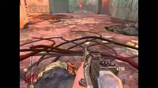 Black ops 2 : DIE RISE : GOD MODE! glitch MUST SEE!