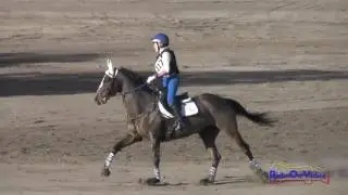 117XC Madelyn Floyd on King George Training 3-Day Cross Country Galway Downs November 2016