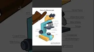 Perry the Microscope #memes #funny