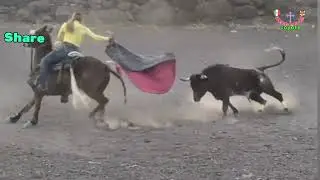 jaripeo estilo rancho corral de piedra jinetes y jinetas