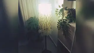اباجوره مكرميه استاند