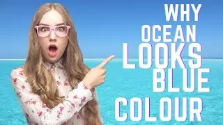 Why ocean looks blue colour 🌊