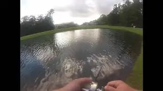 6&rdquo; Bullgill | Cast2Catch