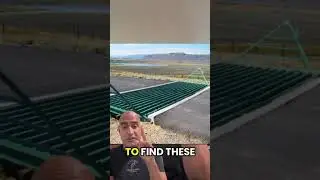 Cattle Guard  #samstream #contractor #greenscreen