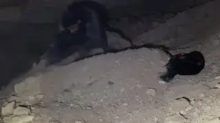 الجن يدفن المغامر