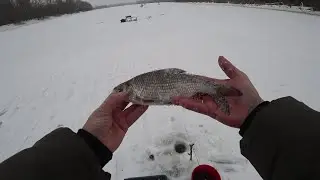 Зимняя Плотва со льда на Десне !!!# Январь 2026