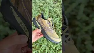 Saucony Peregrine 15 🌿