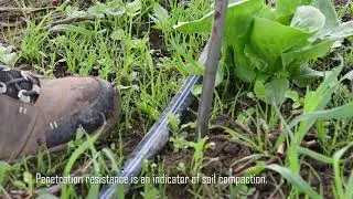 Soil Health Assessment - Compaction