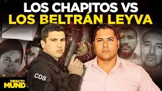 Los Chapitos pierden poder: Beltr&aacute;n Leyva y el C&aacute;rtel de Guasave avanzan tras asesinato de &ldquo;El Panu&rdquo;