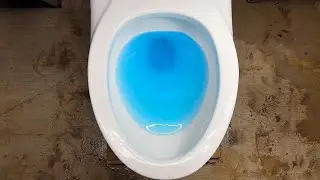 1.28gpf Kohler Kingston Blue Dye Flush Test