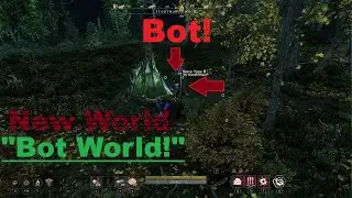 New World: Bot World.