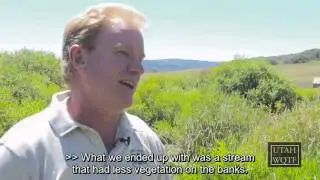 Strawberry River Restoration