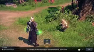 Lost Ark Quest - The Most Controversial Question
