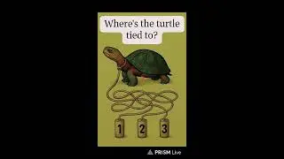 Can you solve this tangled rope puzzle?   Trace the rope from the turtle&rsquo;s neck and comment number