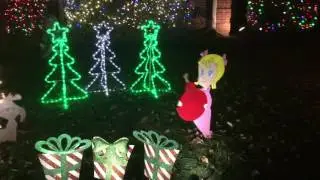 Nelson Christmas Lights 2016