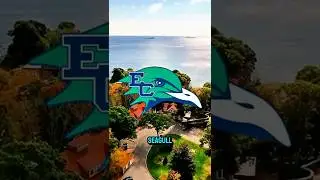 For my small school of the day we Endicott College #endicottcollege 🏈🔥