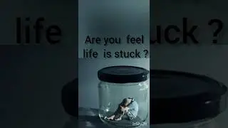 life stuck#motivational #wisdom #philosophy of life #legend#mind relaxing #life survival#jesus love