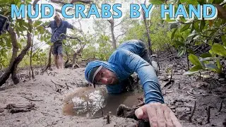 Catching Mud Crabs by hand