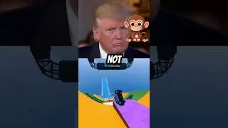 Monkey in the White House #funny #presidentai