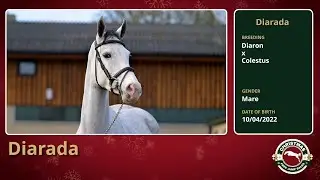 Diarada (Diaron x Colestus)