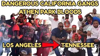 Dangerous California Gangs: Athens Park Bloods from Los Angeles to Tennessee Streets