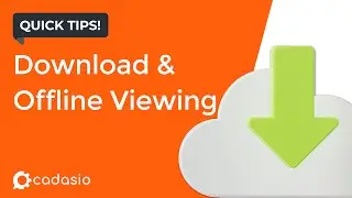 Downloads and Offline Viewing