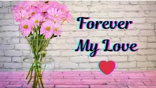 From My Heart ❤️ Deep Romantic Love Message For My Forever Sweetheart | True Love Expressions