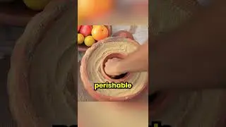 &iquest;Refrigerador sin electricidad? 😨