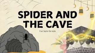 The Spider and the Cave | A Story of Faith and Allah's Protection | Islamic Stories for Kids