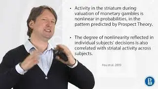 Decision Weights, Framing Effect, and Prospect Theory - Introduction to Neuroeconomics: How the