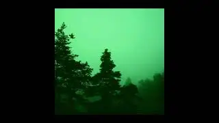 Green aesthetic edit