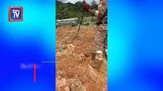Tracker dogs from K9 units in search for Batang Kali landslide victims overworked, one injured