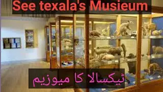 Texala's Musieum/ History of texala musieum. Buddhiest relics in texala.