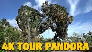 4K Daytime Tour of Pandora - The World of AVATAR | Animal Kingdom
